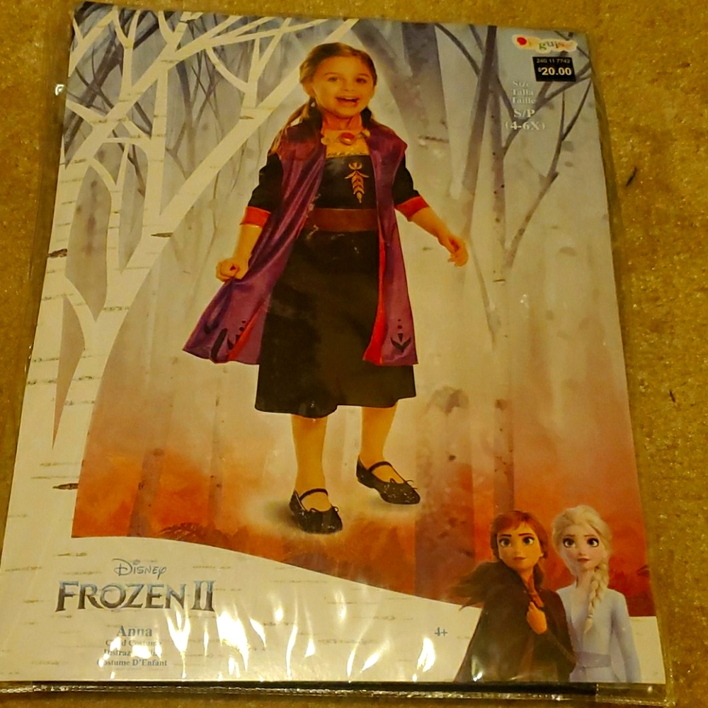 Frozen 2 Anna costume